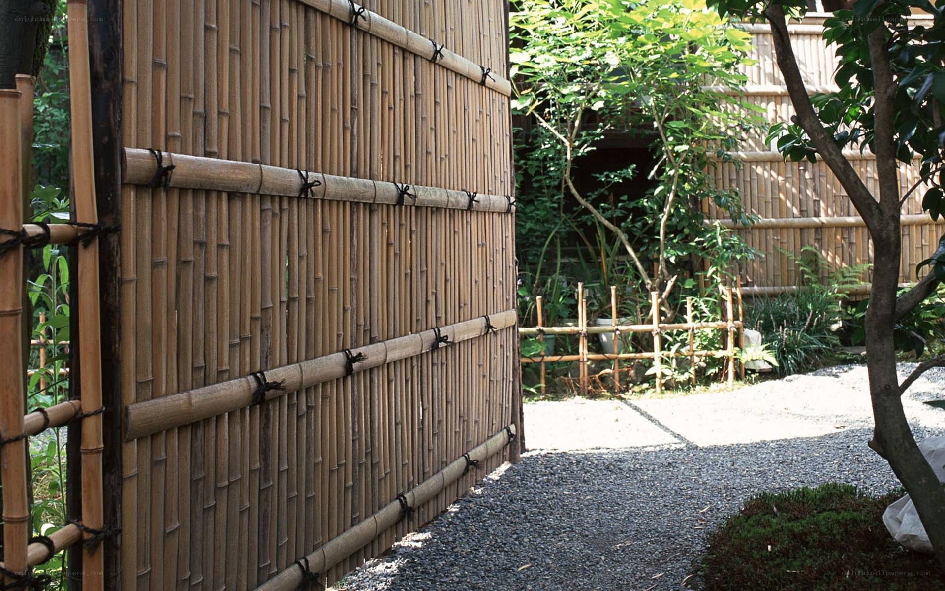 Bamboo fence in a garden