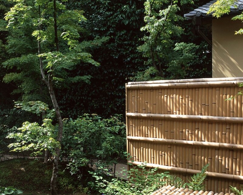 Bamboo fence in a Japanese garden