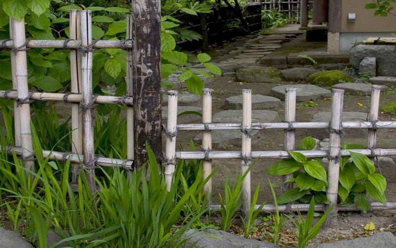 Bamboo fence in garden