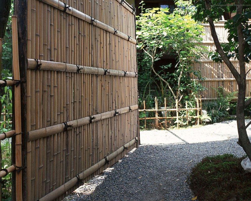 Bamboo fence in garden
