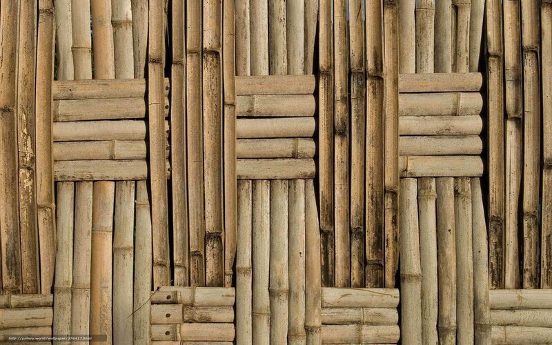 Bamboo fence texture