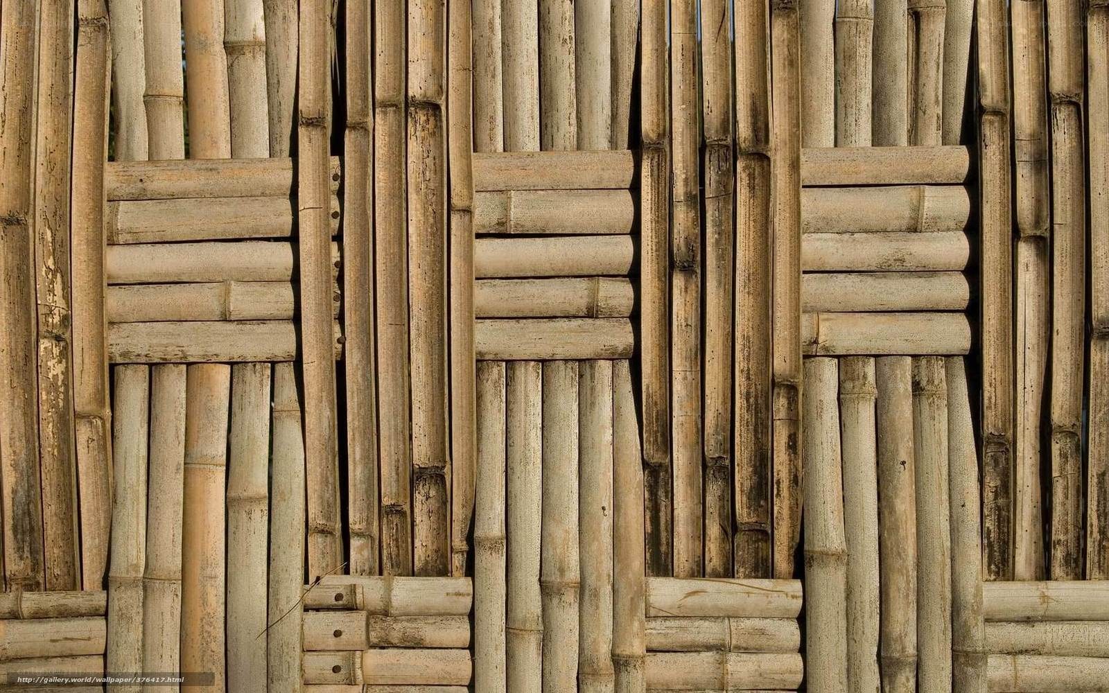Bamboo fence texture