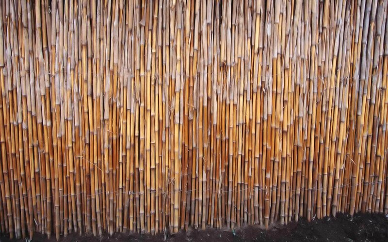 Bamboo fence wall