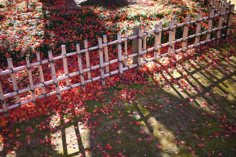 Bamboo Fence with Leaves