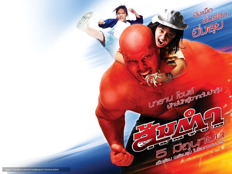 Bamboo Fighter movie poster