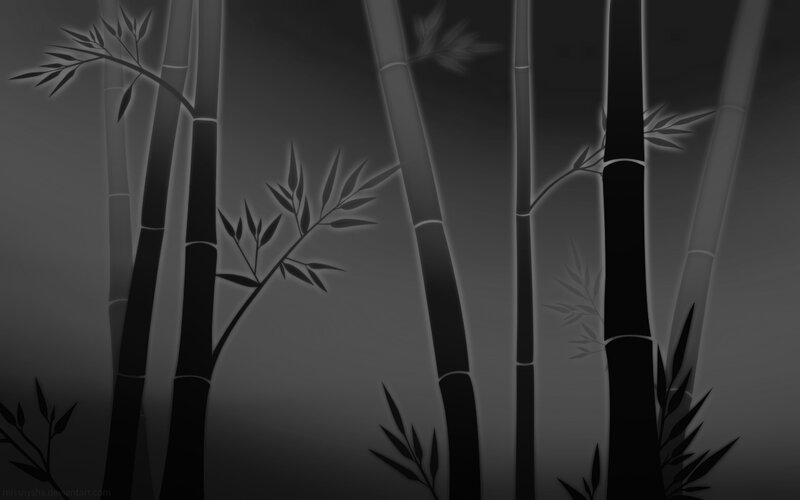 Bamboo forest at dusk