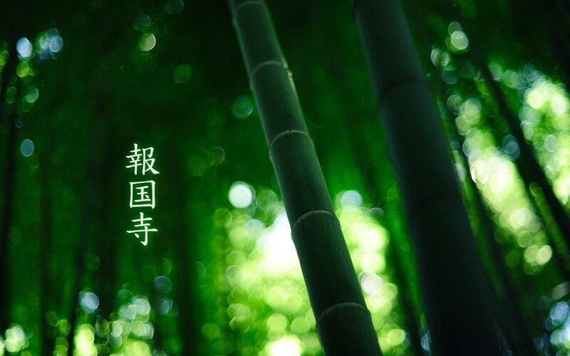 Bamboo forest at Hōkoku-ji