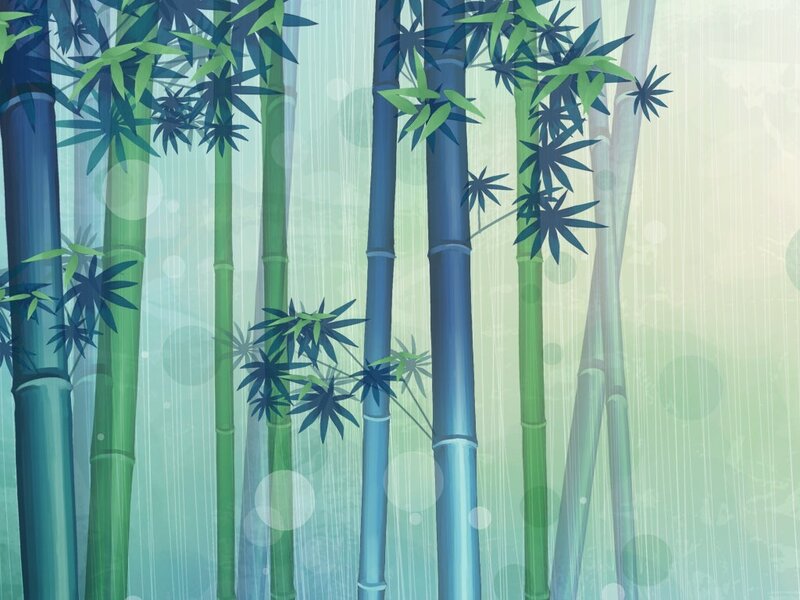 Bamboo forest illustration