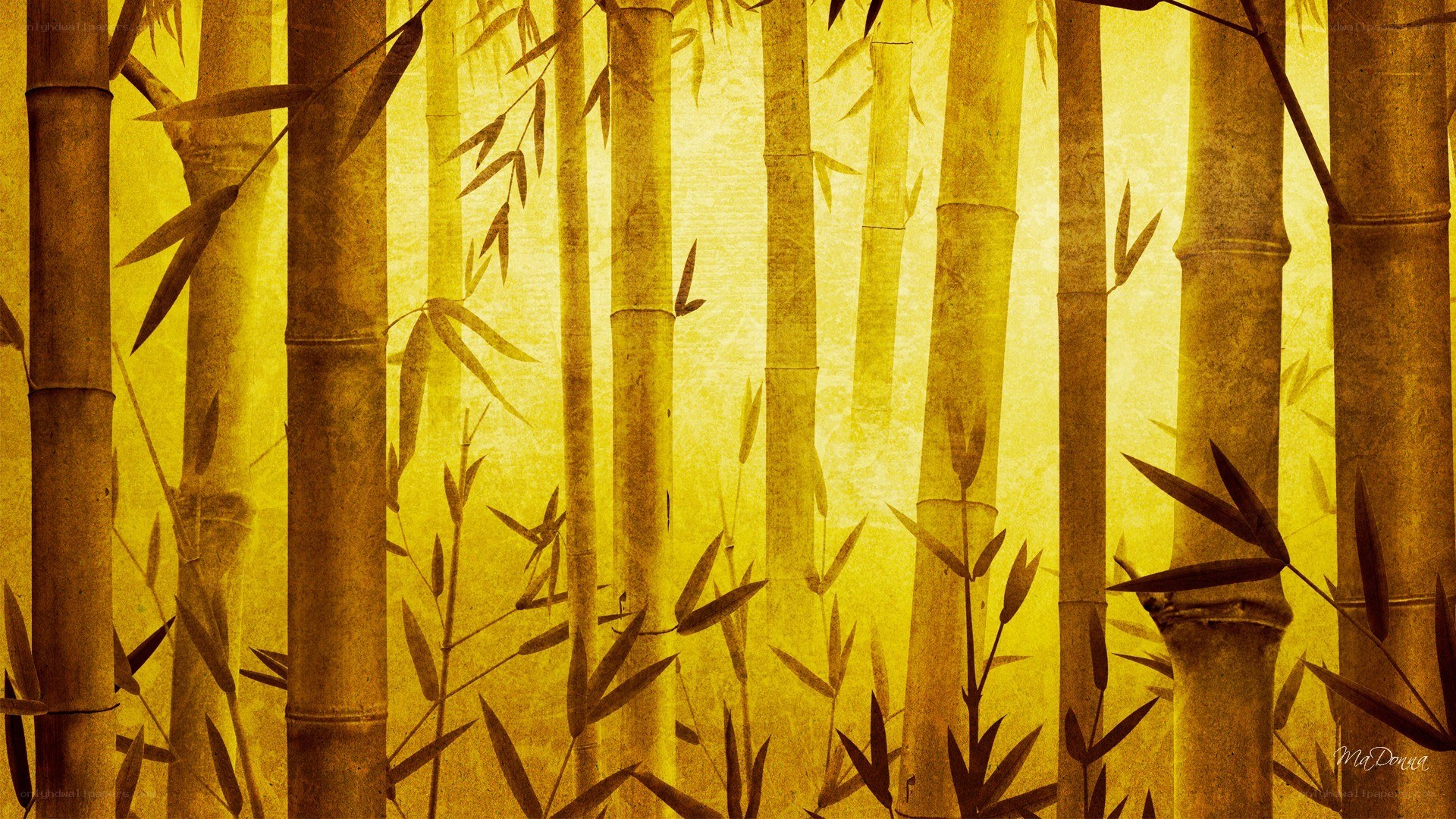 Bamboo forest in golden light