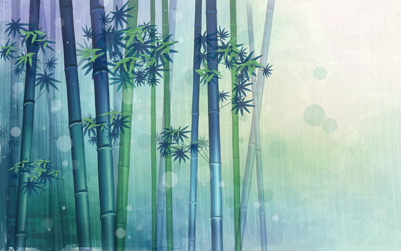 Bamboo forest in mist