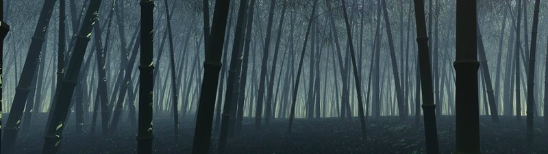Bamboo Forest in Mist — Green