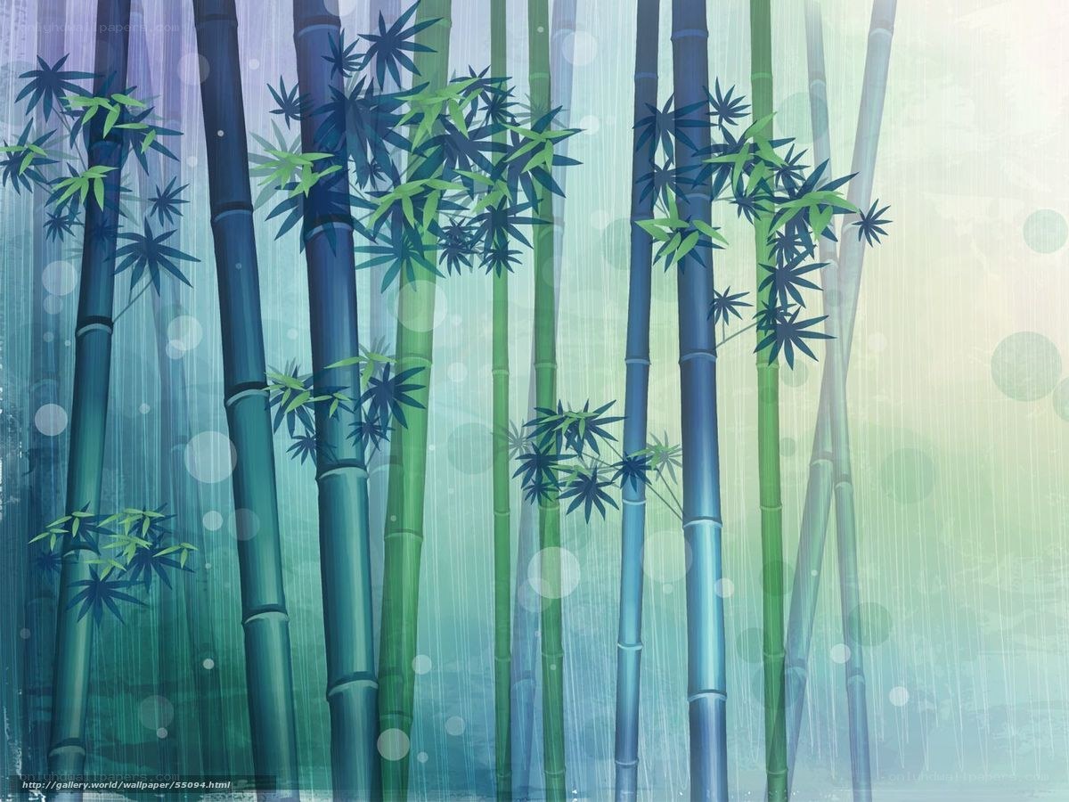 Bamboo forest in mist