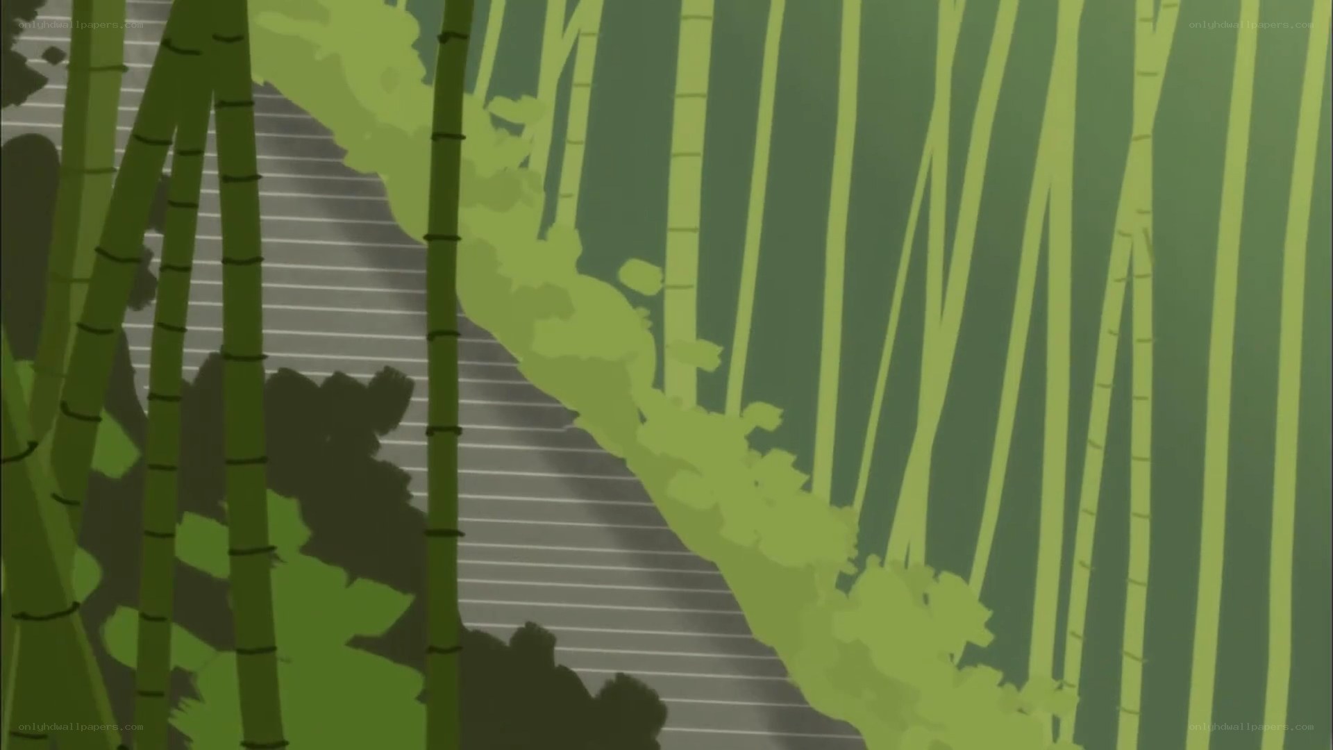 Bamboo forest path