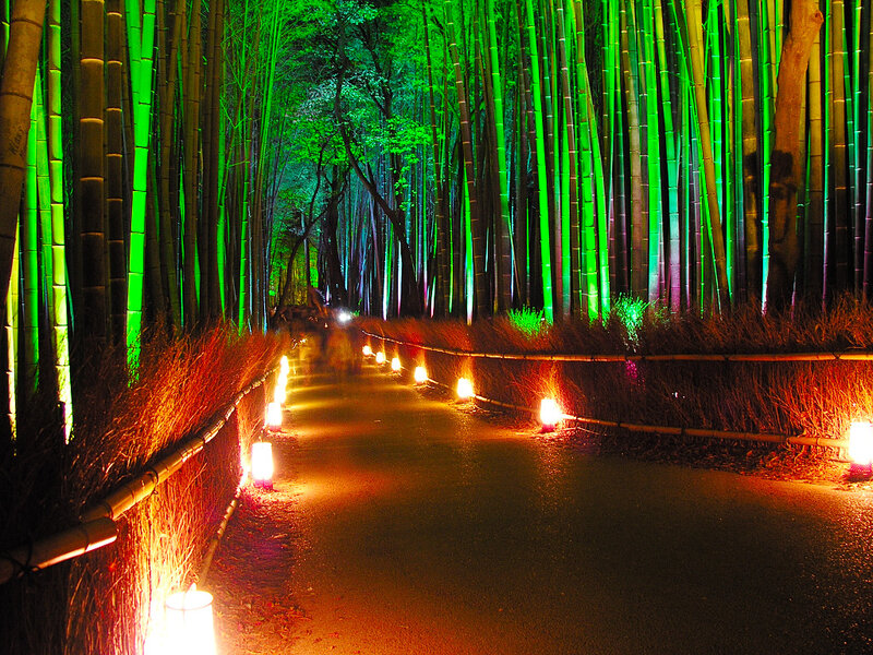 Bamboo Forest Path — Green, Serene, Night