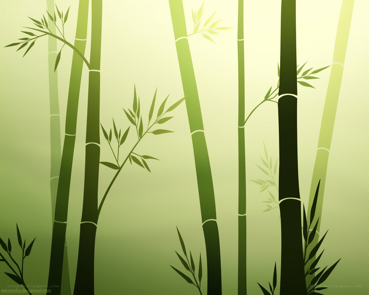 Bamboo forest silhouette