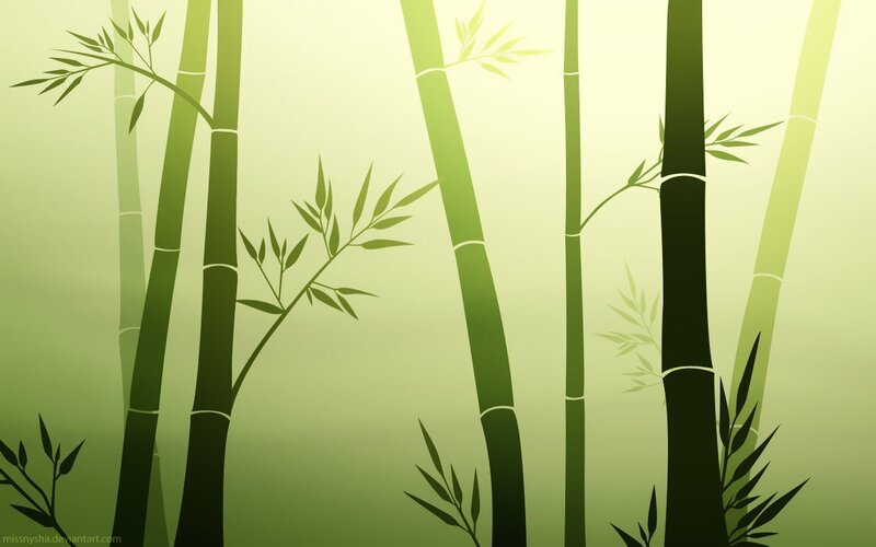 Bamboo forest silhouette