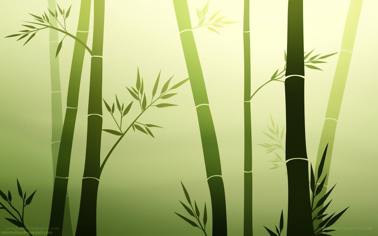 Bamboo forest silhouette