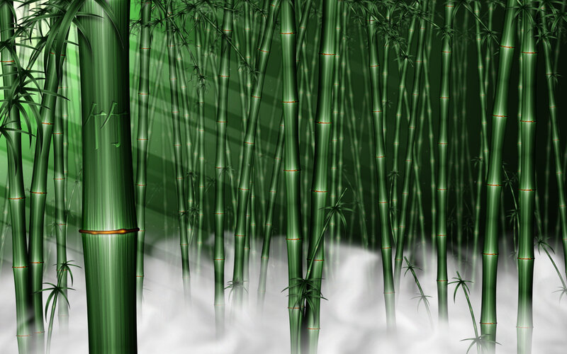 Bamboo Forest