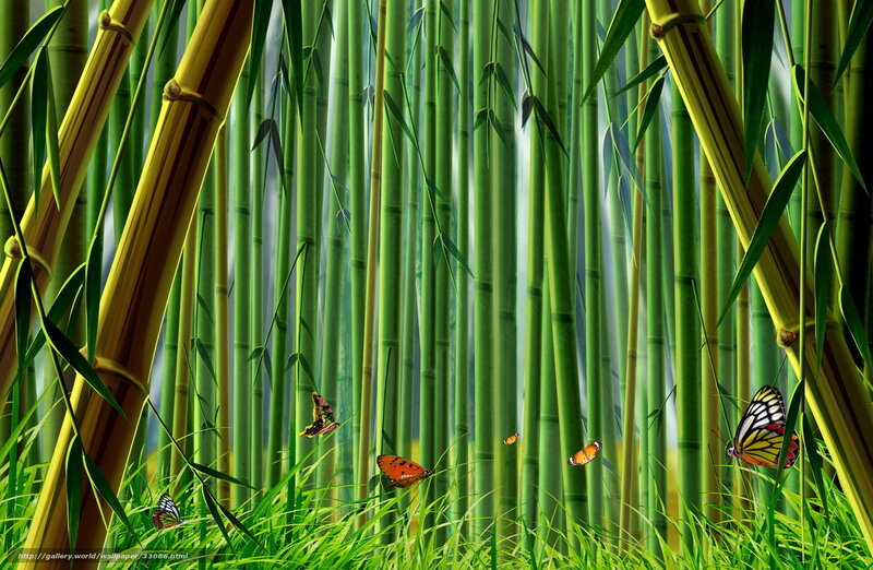 Bamboo forest with butterflies