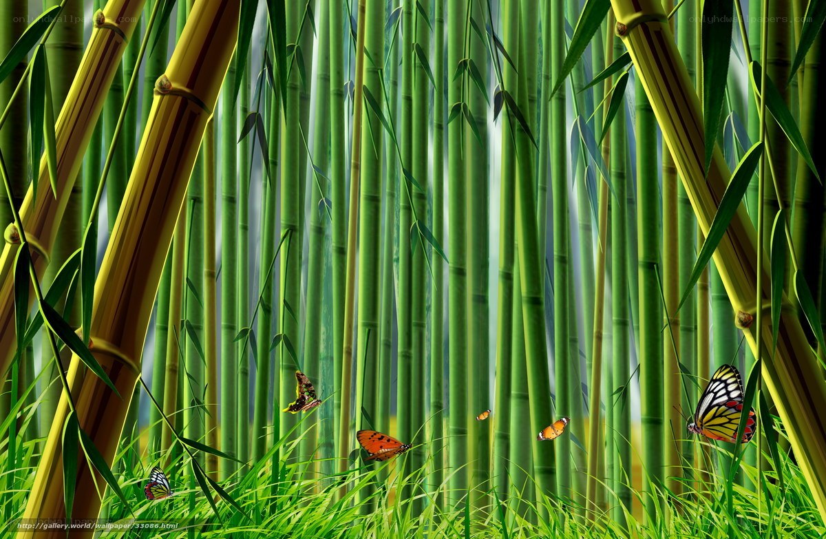 Bamboo forest with butterflies