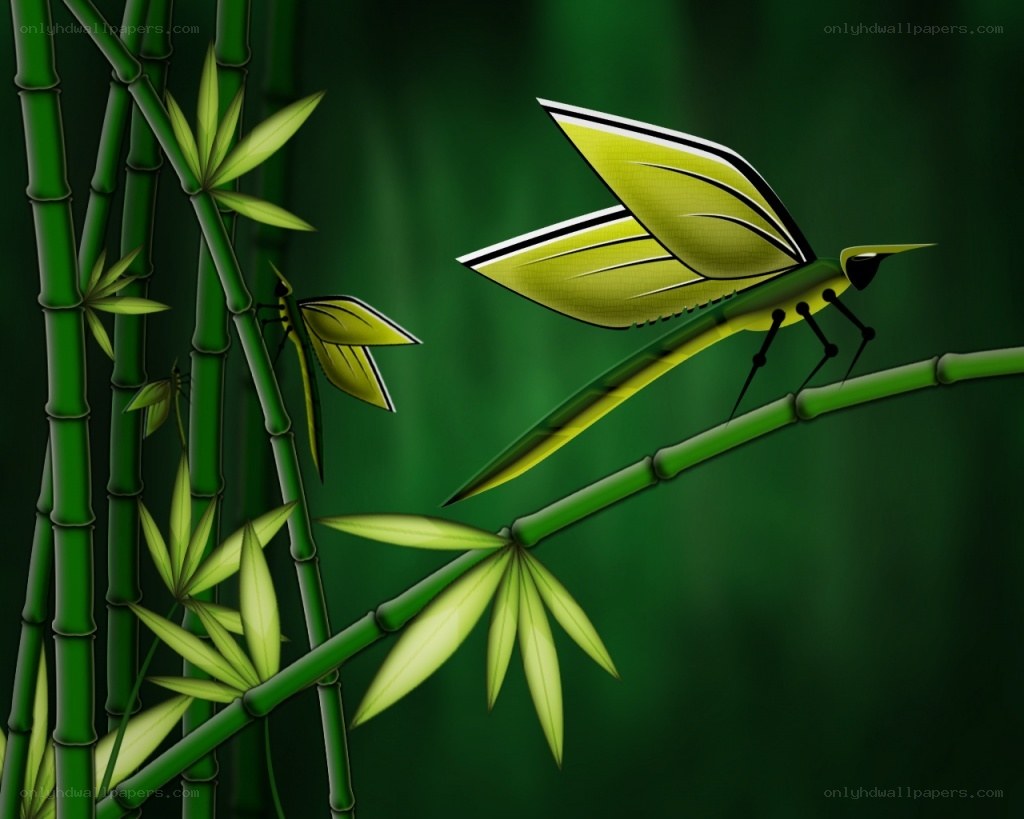 Bamboo forest with dragonflies