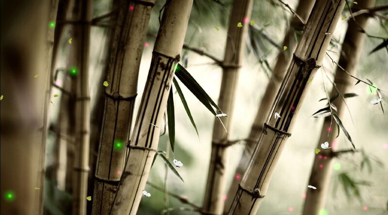 Bamboo forest with glowing particles