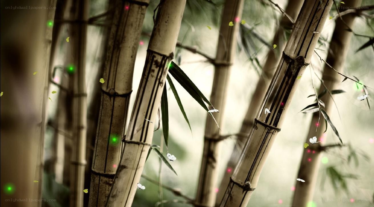 Bamboo forest with glowing particles