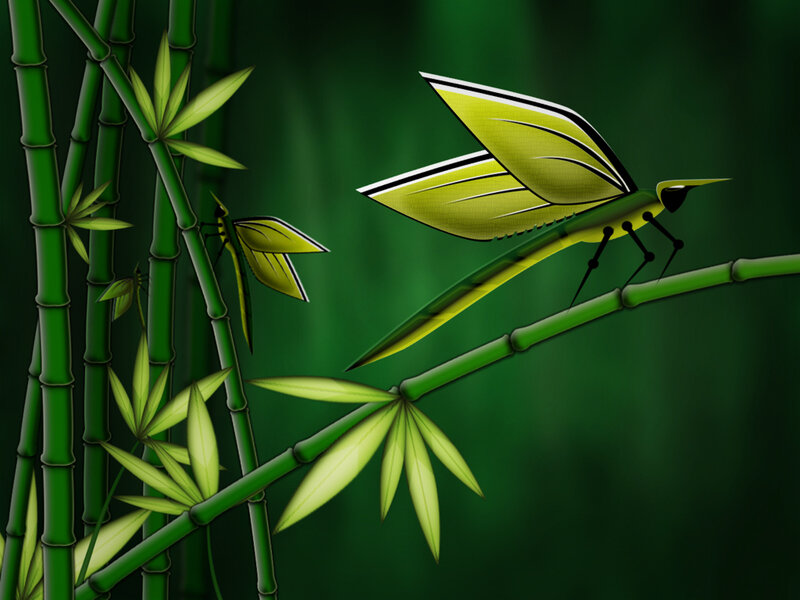 Bamboo forest with insects