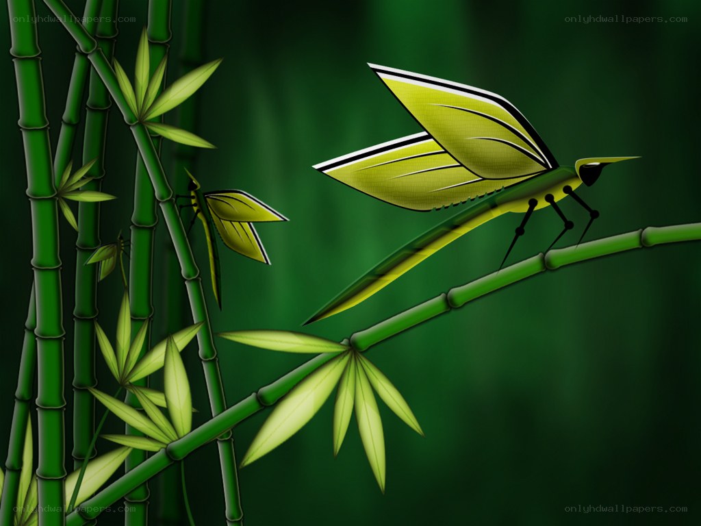 Bamboo forest with insects