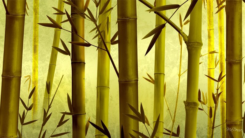 Bamboo Forest — Yellow, Serene