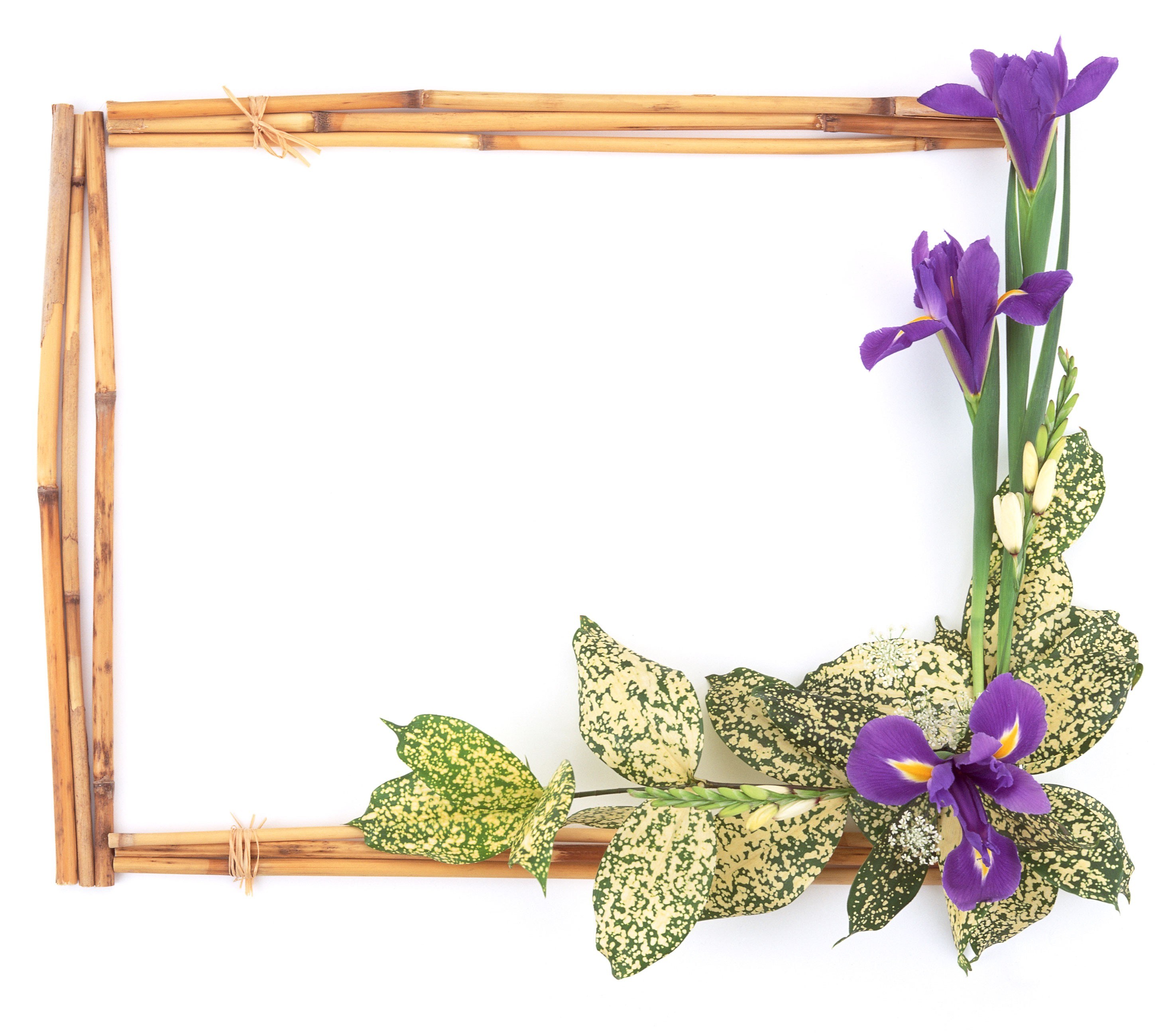 bamboo frame with purple flowers