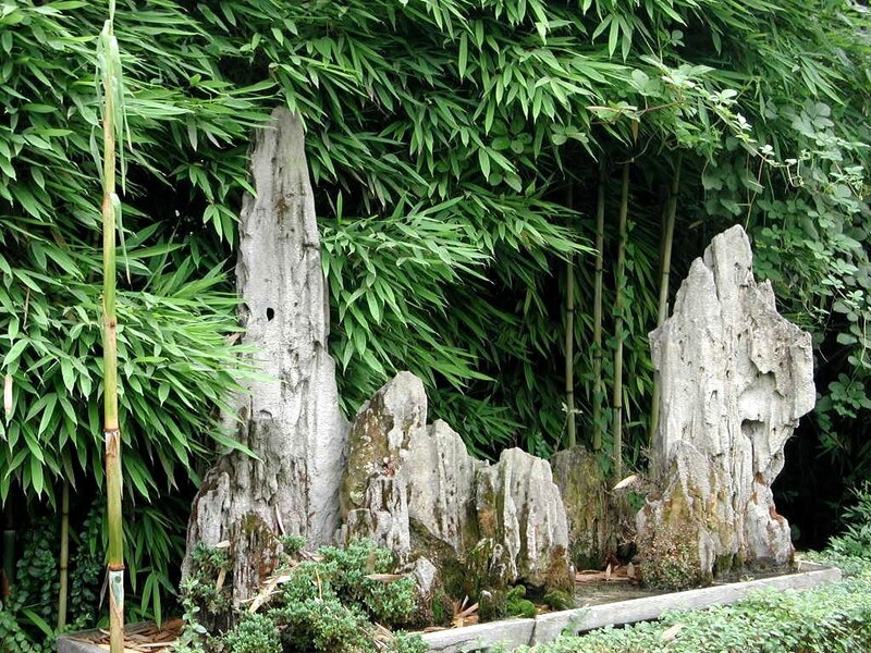 Bamboo garden with rock formations