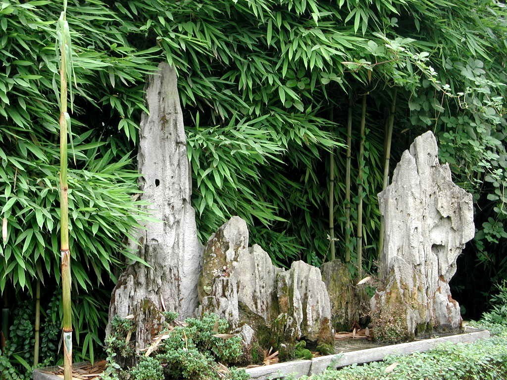 Bamboo garden with rock formations