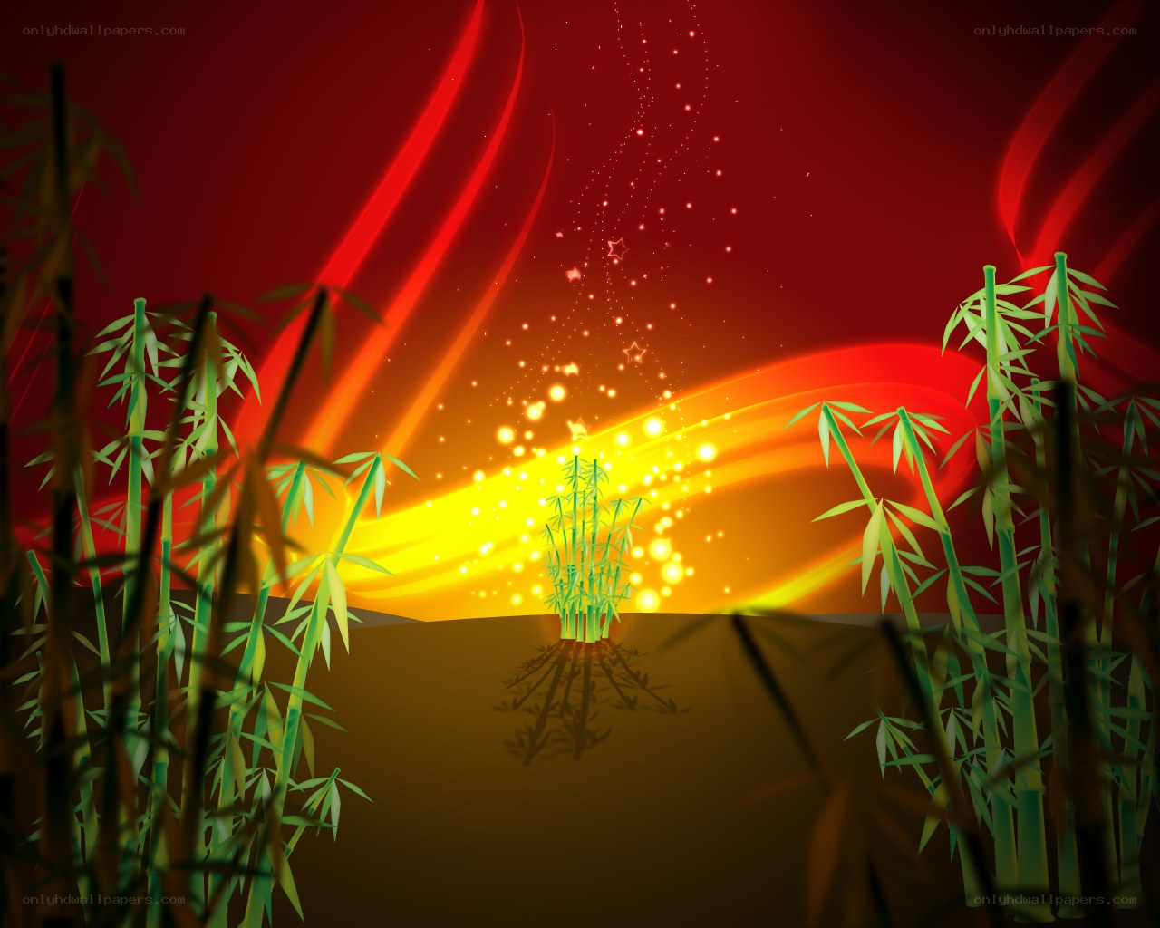 Bamboo grove at sunset