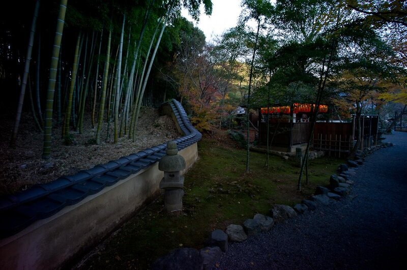 Bamboo grove garden path