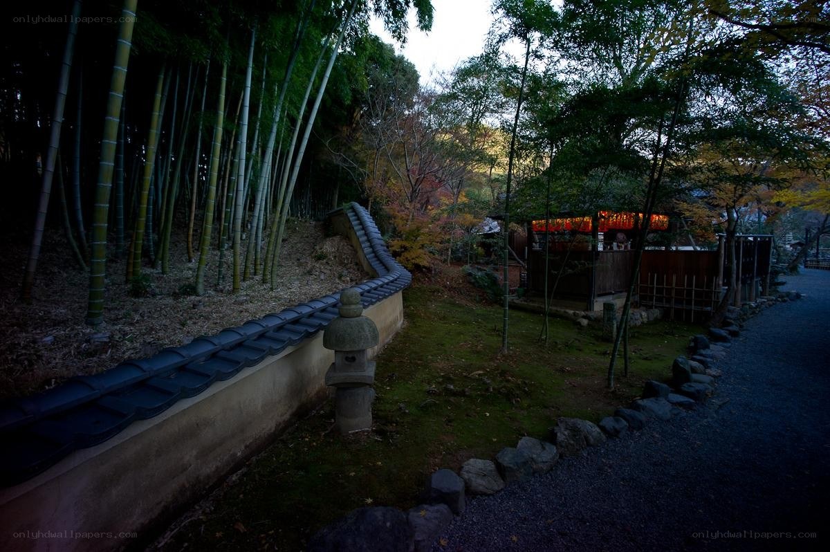 Bamboo grove garden path