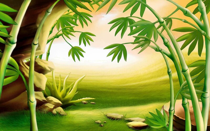 Bamboo Grove Landscape