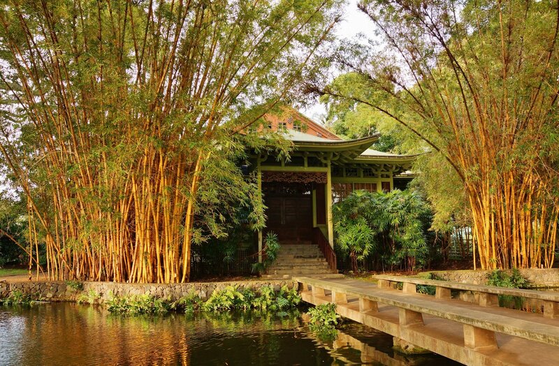 Bamboo Grove with Pavilion