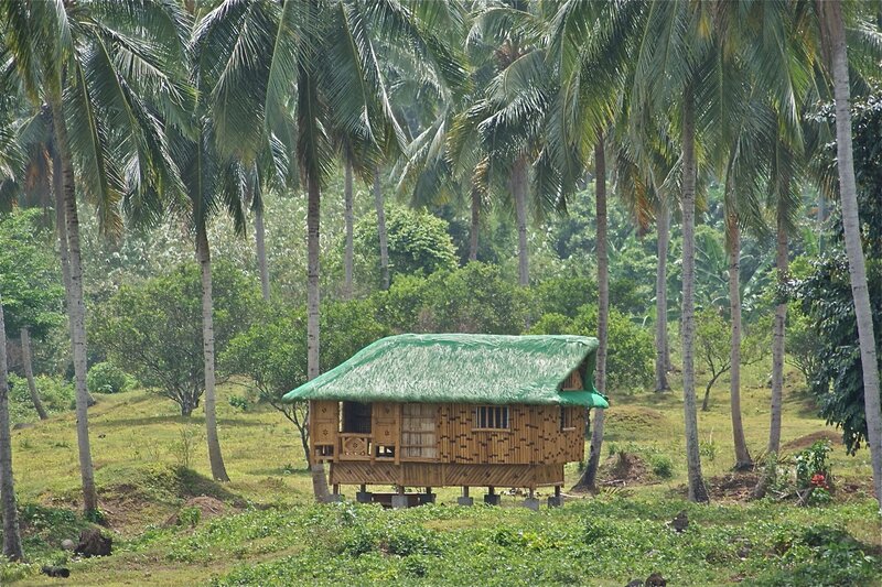 Bamboo Hut in Forest