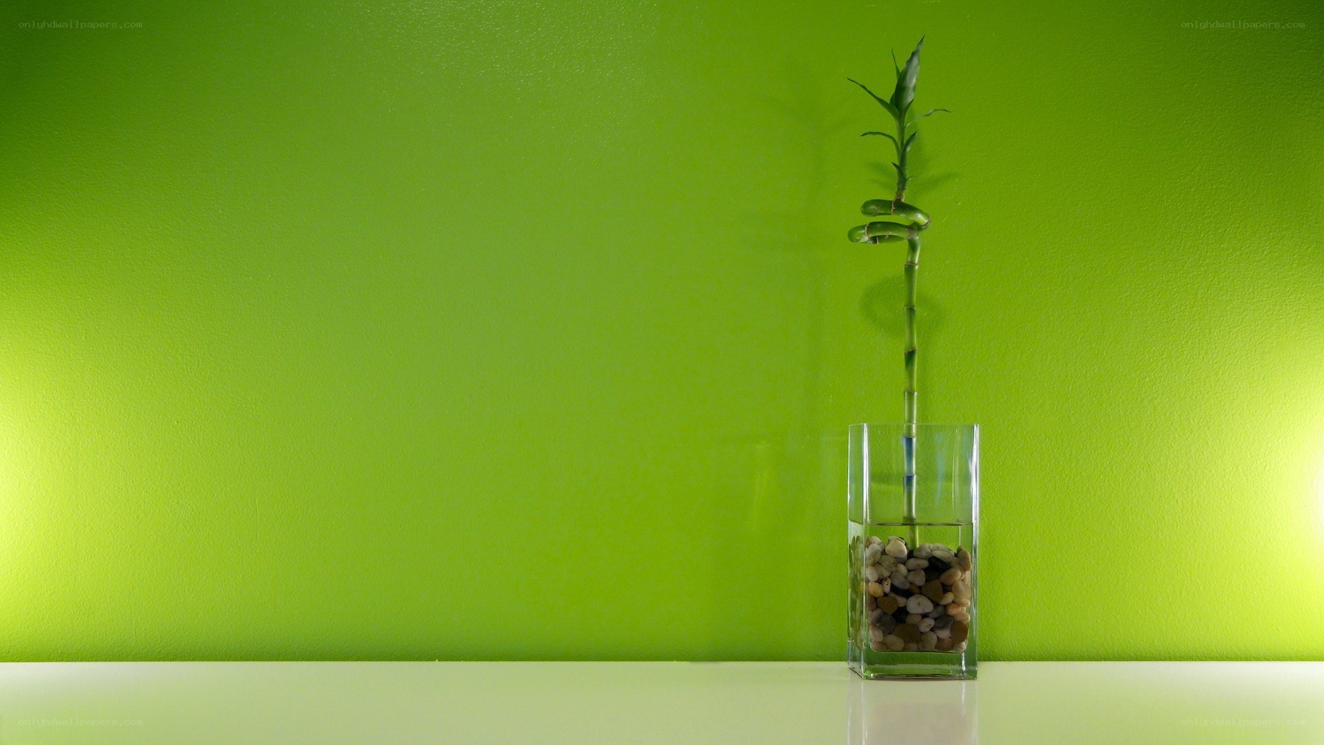 Bamboo in a glass vase