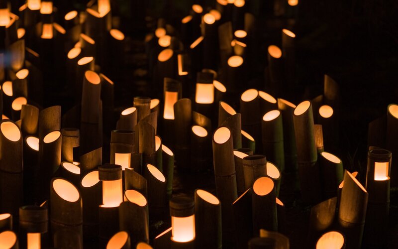 Bamboo Lanterns at Night — Black