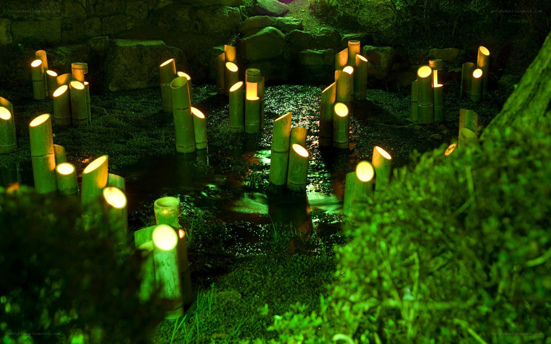 Bamboo lanterns in a garden