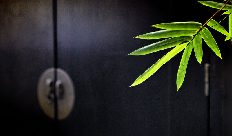 bamboo leaf on dark door