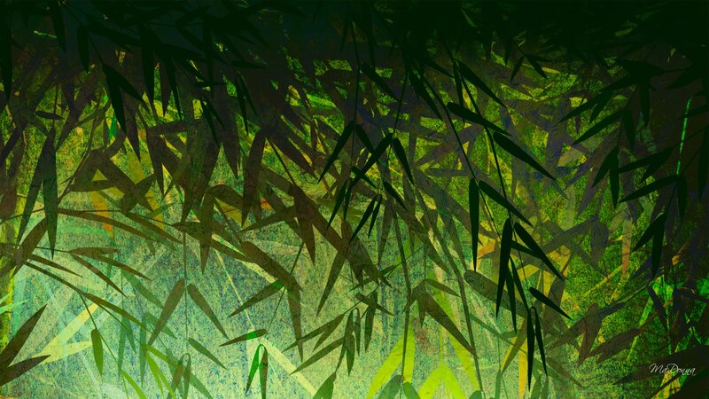 Bamboo Leaves in Forest