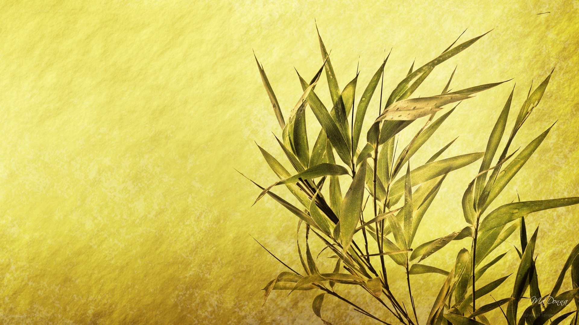 Bamboo leaves on golden background