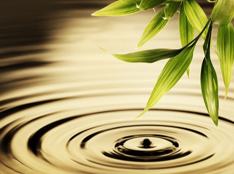 Bamboo Leaves on Water