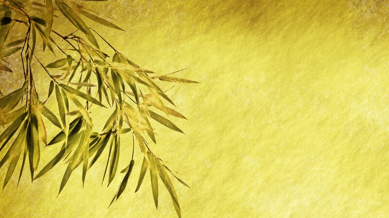 Bamboo Leaves on Yellow — Serene