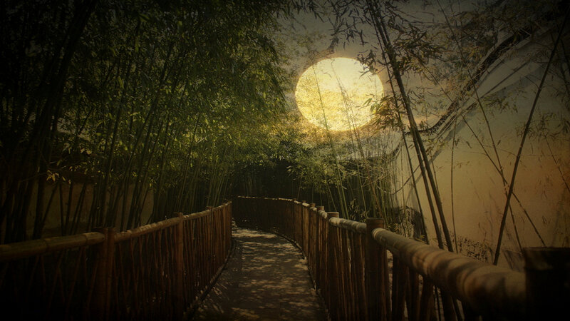 Bamboo Path at Night
