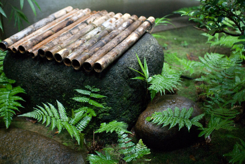 Bamboo Pipes on Rock