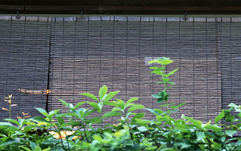 Bamboo screen with green plants